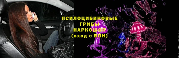 дживик Няндома