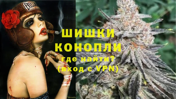 дживик Няндома