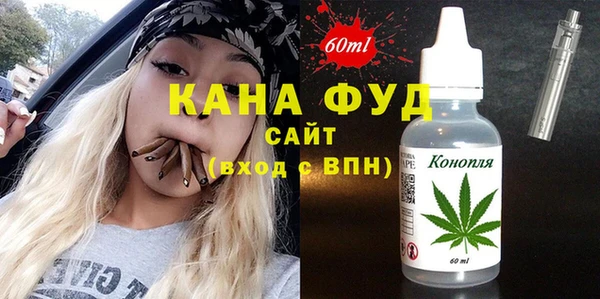 дживик Няндома