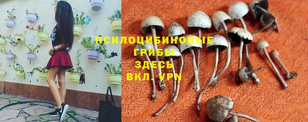 бутират Нязепетровск