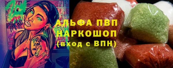 дживик Няндома