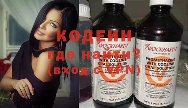 дживик Няндома