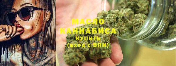 дживик Няндома