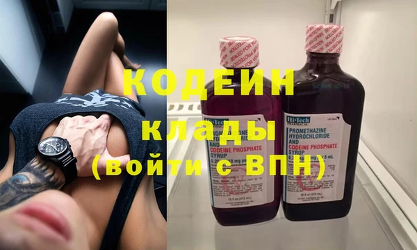 дживик Няндома