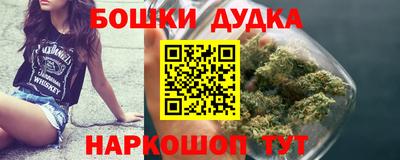 стафф Гай