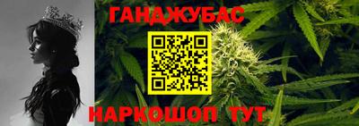 стафф Гай