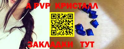 стафф Гай
