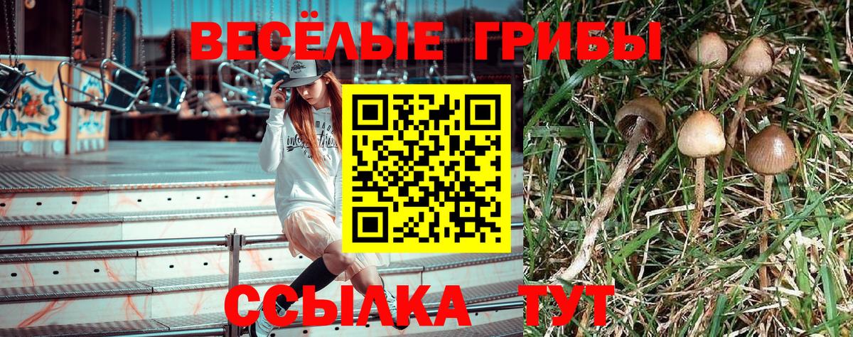 Псилоцибиновые грибы MAGIC MUSHROOMS Ивантеевка